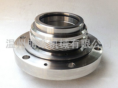 SAFV3-138-E1 seal for feed water pump